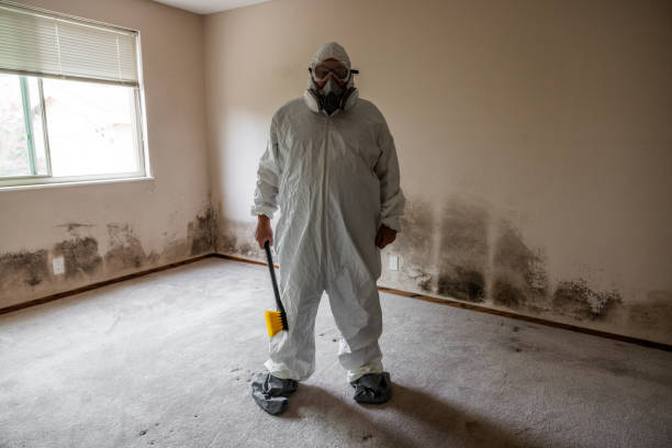 Mold Remediation for Rental Properties in Glasgow, MT